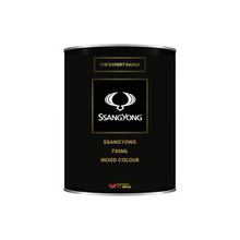 Load image into Gallery viewer, Ssangyong