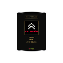 Load image into Gallery viewer, Citroen