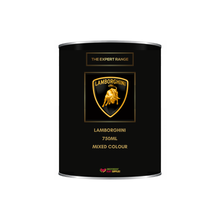 Load image into Gallery viewer, Lamborghini