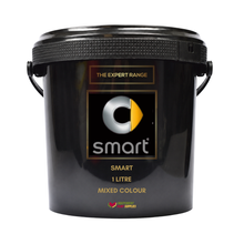 Load image into Gallery viewer, Smart