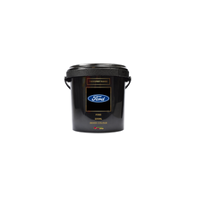 Load image into Gallery viewer, Ford