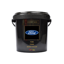 Load image into Gallery viewer, Ford