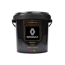 Load image into Gallery viewer, Renault