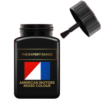 Load image into Gallery viewer, American Motors