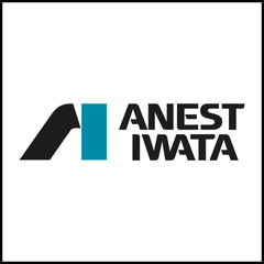 Anest Iwata
