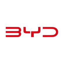 Load image into Gallery viewer, BYD