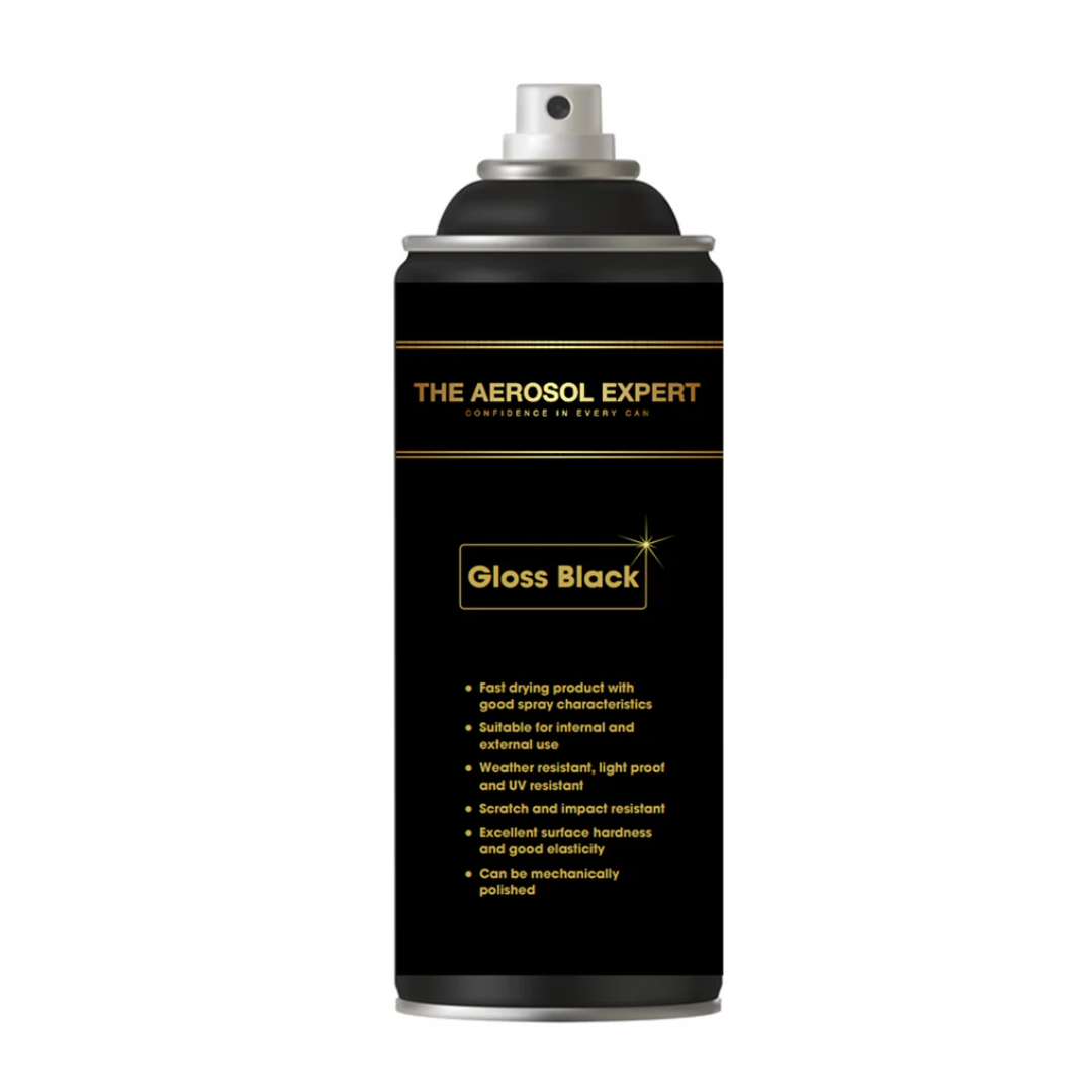 The Expert Range Gloss Black Aerosol