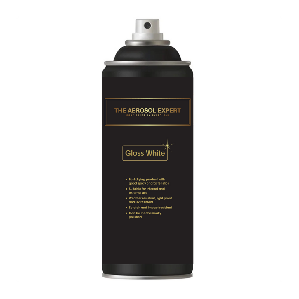 The Expert Range Gloss White Aerosol
