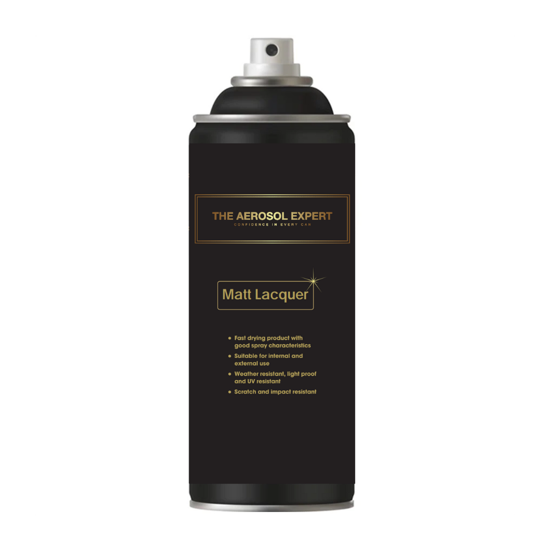 The Expert Range Matt Clearcoat Aerosol