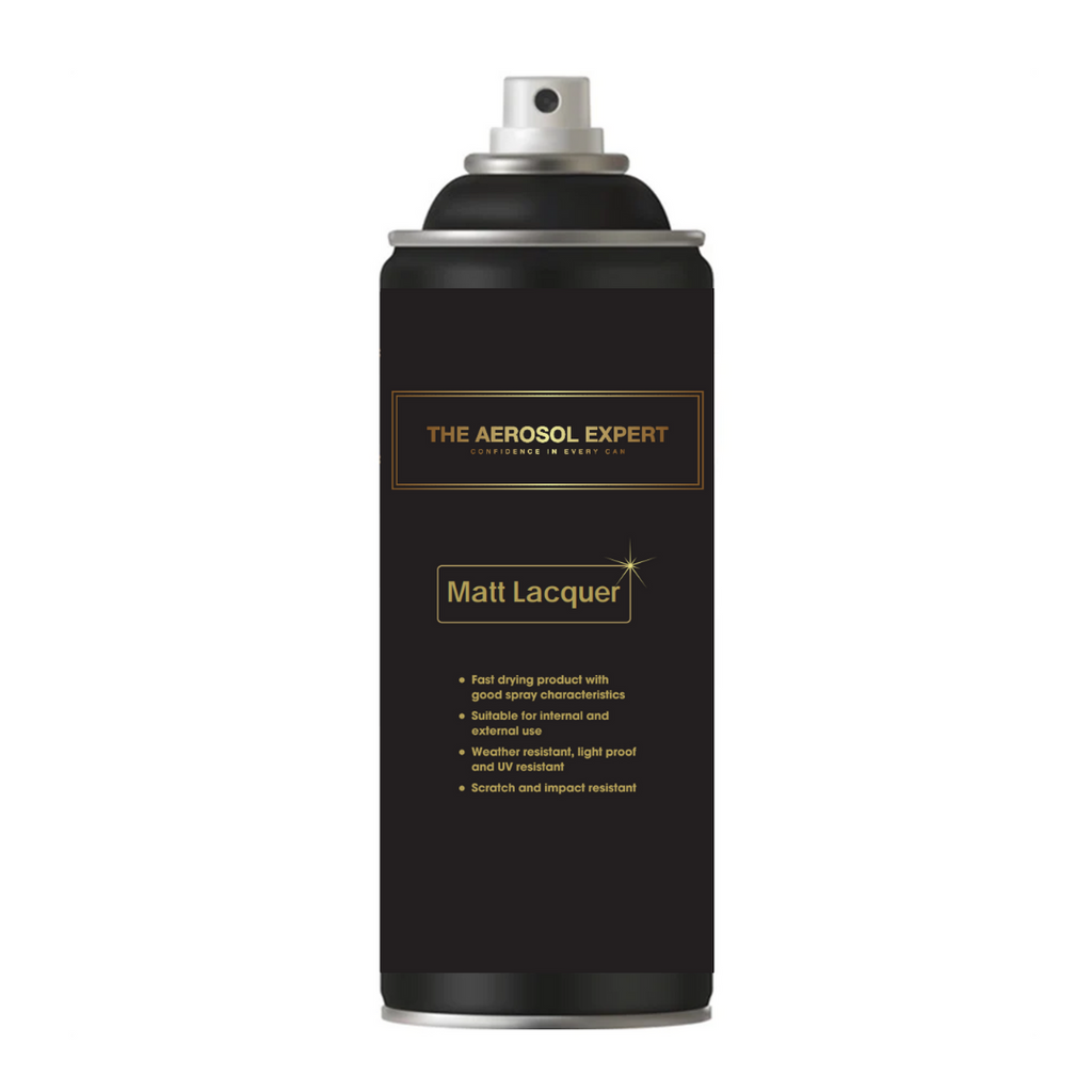 The Expert Range Matt Clearcoat Aerosol