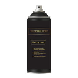 The Expert Range Matt Clearcoat Aerosol