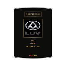 Load image into Gallery viewer, LDV