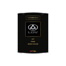 Load image into Gallery viewer, LDV