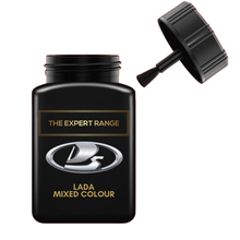 Load image into Gallery viewer, Lada