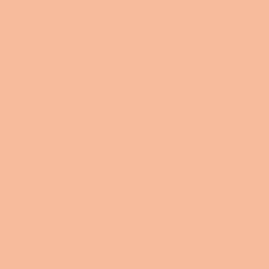 Little Greene No 20 Conche