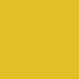 Little Greene No 47 Mister David