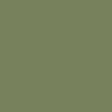 Little Greene No 80 Sage Green