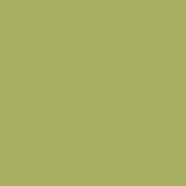 Little Greene No 84 Boxington