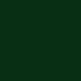 Little Greene No 88 Dark Brunswick Green
