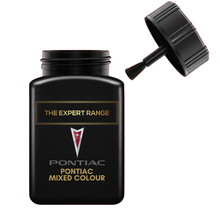Load image into Gallery viewer, Pontiac