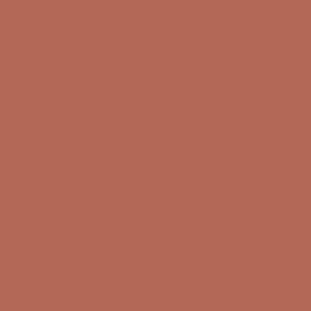 RAL Design 040 50 40 Ant Red