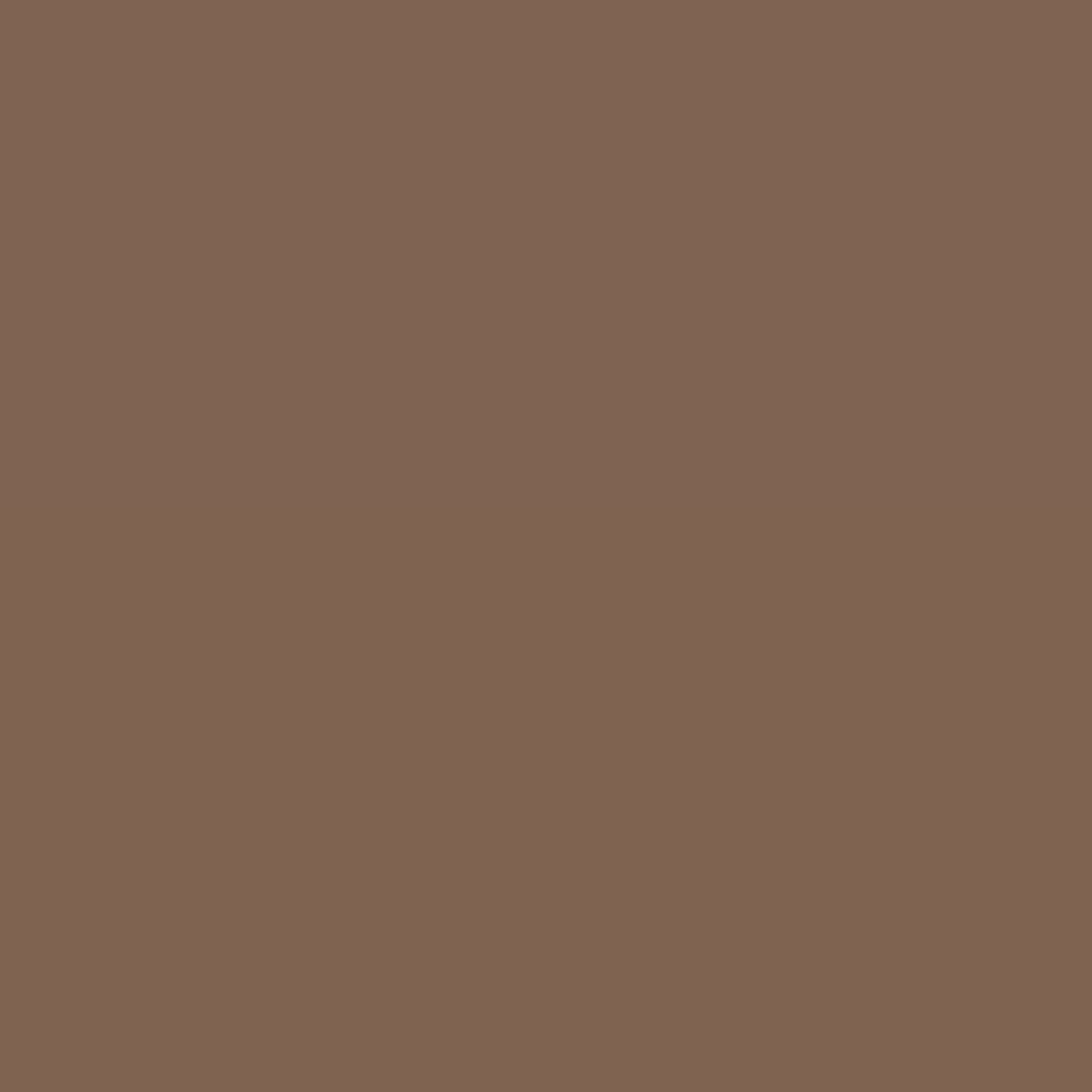 RAL Design 060 40 20 Coffee Bean Brown