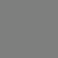 Load image into Gallery viewer, RAL Design 000 50 00 Steel Grey