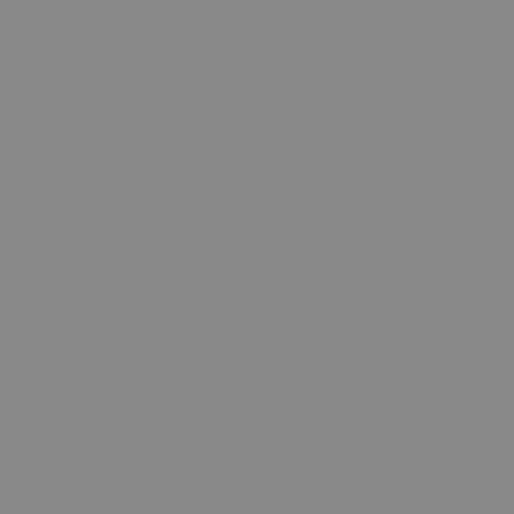 RAL Design 000 55 00 Medium Grey