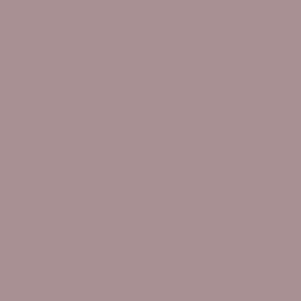 RAL Design 010 60 10 Lilac Grey