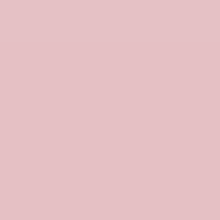 Load image into Gallery viewer, RAL Design 010 80 15 Ice Hot Pink