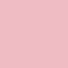 Load image into Gallery viewer, RAL Design 010 80 20 Pastel Pink