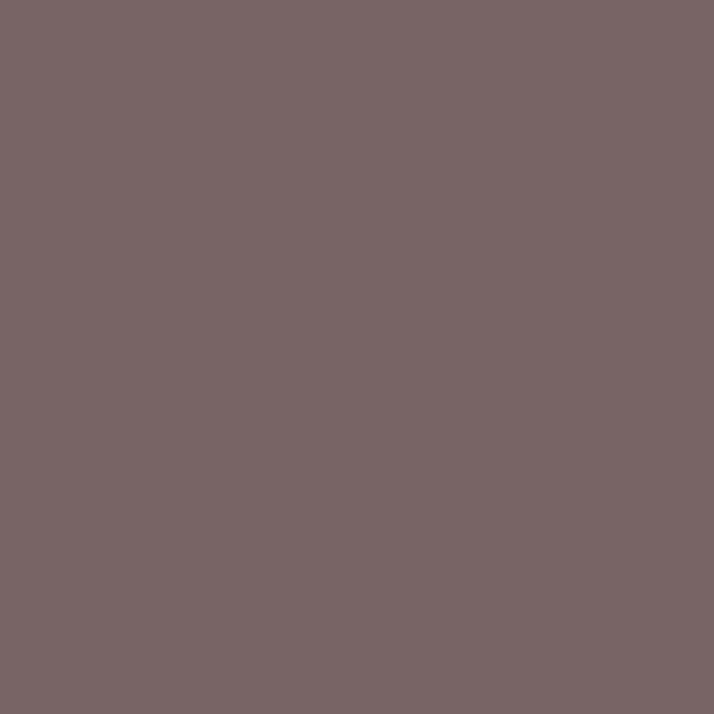 RAL Design 020 40 10 Nut Brown