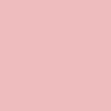 Load image into Gallery viewer, RAL Design 020 80 20 Marzipan Pink