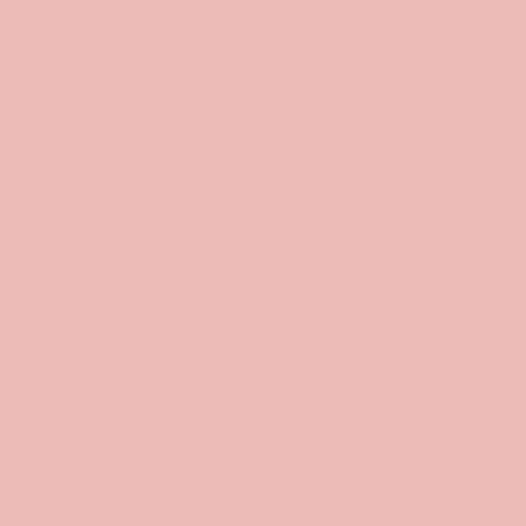 RAL Design 030 80 20 Magnolia Pink
