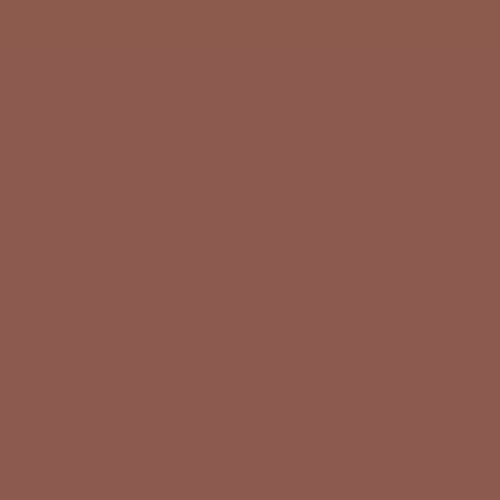 RAL Design 040 40 30 Chestnut Brown