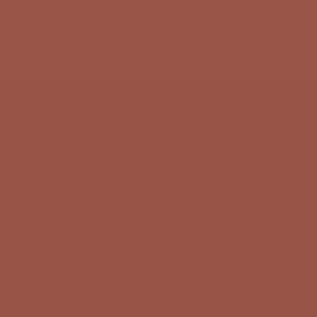 RAL Design 040 40 40 Brick Red