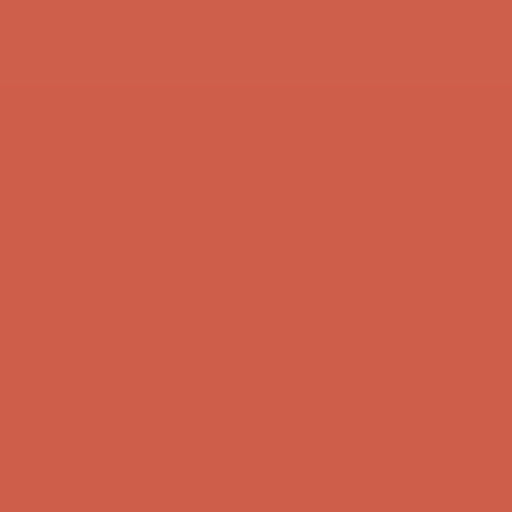 RAL Design 040 50 60 Fox Red