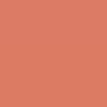Load image into Gallery viewer, RAL Design 040 60 50 Mandarin Orange