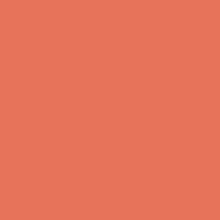 Load image into Gallery viewer, RAL Design 040 60 60 Coral Orange