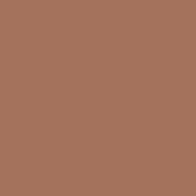 Load image into Gallery viewer, RAL Design 050 50 30 Golden Brown