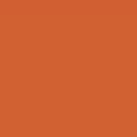 RAL Design 050 50 78 Persian Orange