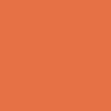 Load image into Gallery viewer, RAL Design 050 60 70 Carrot Orange