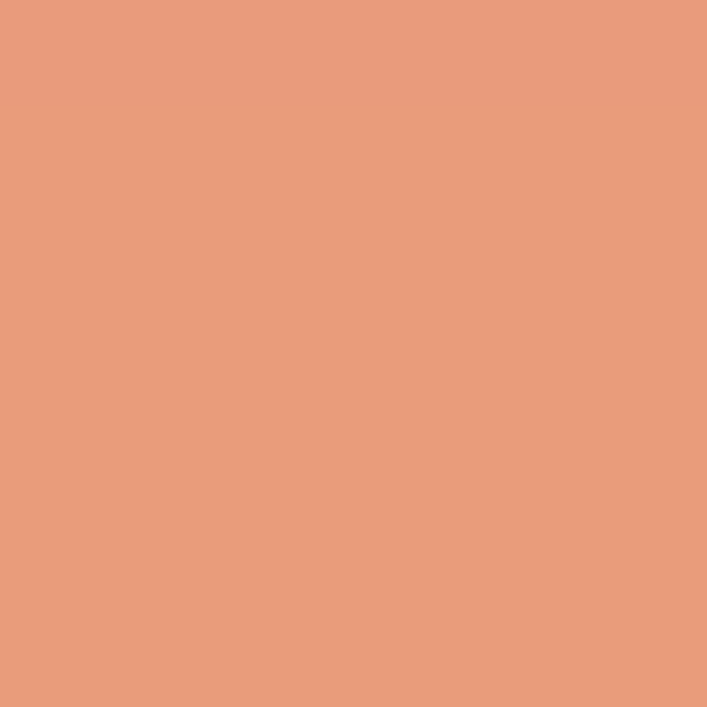 RAL Design 050 70 40 Light Amber Orange