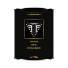 Load image into Gallery viewer, Triumph Motorcycle