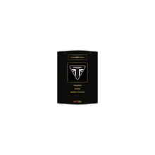 Load image into Gallery viewer, Triumph Motorcycle