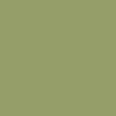 Farrow & Ball No 13 Olive
