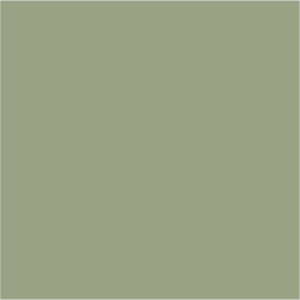 Farrow & Ball No 19 Lichen