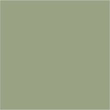 Load image into Gallery viewer, Farrow &amp; Ball No 19 Lichen