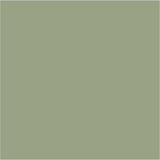 Farrow & Ball No 19 Lichen