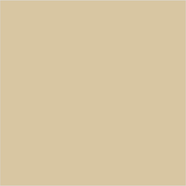 Farrow & Ball No 213 Savage Ground